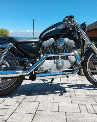 Sportster Harley Davidson 883
