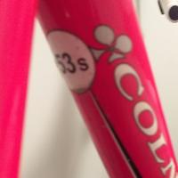 bici corsa COLNAGO modello primavera