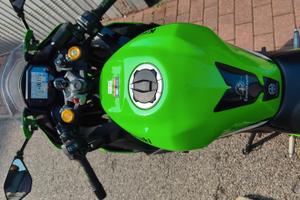 Kawasaki ZX 4RR 2025
