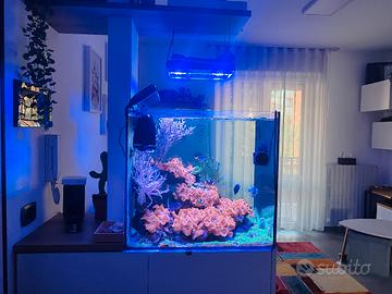 Acquario Marino completo 