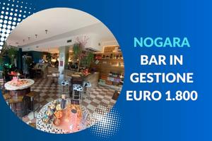 Bar in gestione su statale 11n