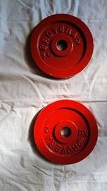 2 pesi da 2 kg cadauno 
