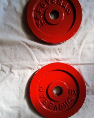 2 pesi da 2 kg cadauno 