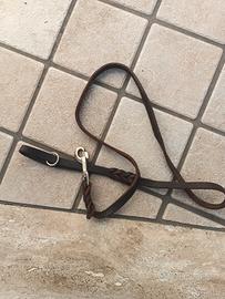 guinzaglio per cani