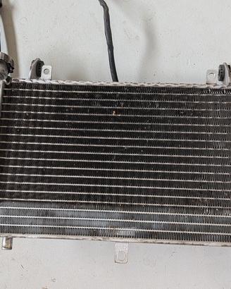 radiatore + ventola Benelli trk 502 x
