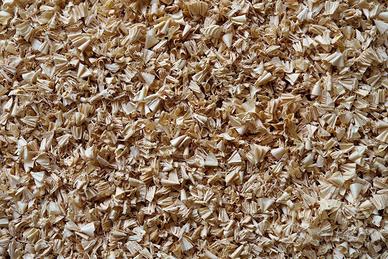 Truciolo segatura e legno di faggio