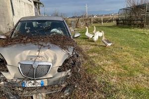 lancia  ypsilon incidentata 1200 benzina 2009