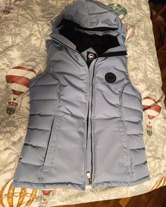 Smanicato Canada Goose