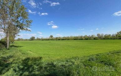 Immobile in asta di 339458 m² a Crotta d'Adda