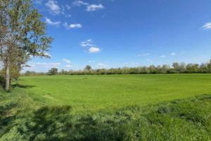 Immobile in asta di 339458 m² a Crotta d'Adda
