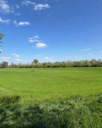 Immobile in asta di 339458 m² a Crotta d'Adda