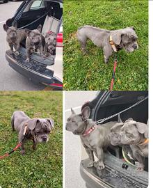 ? Tre Cuori bisognosi di Casa