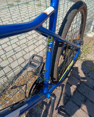 MTB taglia XL 
