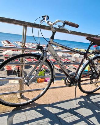 Bici Vertek
