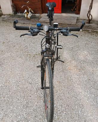Bici da uomo