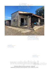 Stabile/Palazzo Collinas [A4319631]