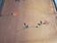 Immagine 3