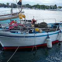 Barca da pesca con licenza