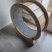 ruota tapis roulant per gatti 