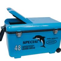 Ignesti ghiacciaia 48 lt