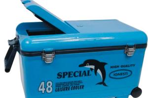 Ignesti ghiacciaia 48 lt