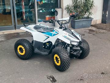 Quad atv 4t profive con retromarcia