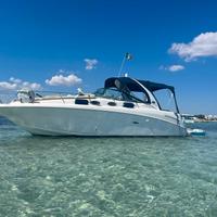 Sea Ray Boats, 335 Sundancer