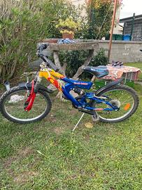 Bici Mountain Bike 20'