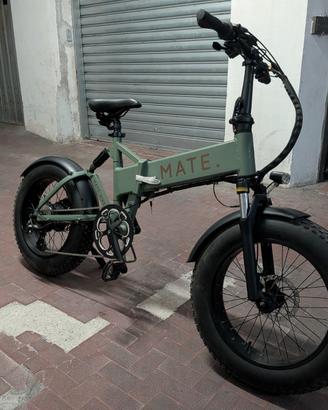 Bicicletta elettrica, e-Bike, bici - MATE X, 750W