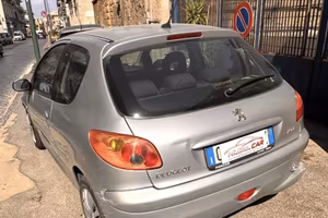 Pegeout 206