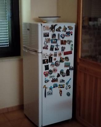 frigo