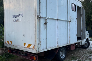 Van trasporto cavalli