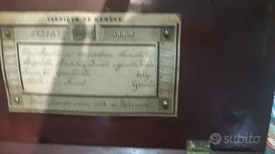 carion 800 collezione