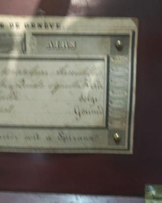 carion 800 collezione