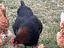 Immagine 3