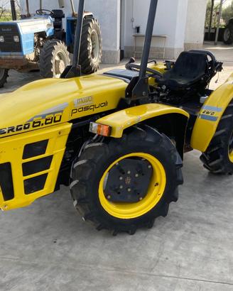 PASQUALI ERGO 6.80 75CV ISODIAMETRICO