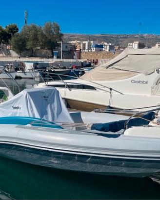 Marlin boat top 23 FB