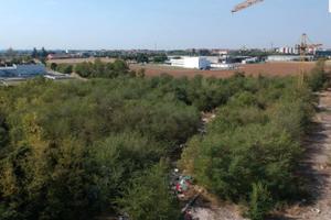 RGE 53/2021 Tribunale Verona