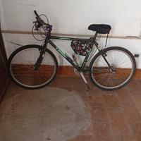 Mountain bike adulto 