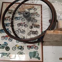 Campagnolo c record ruote copertoncino