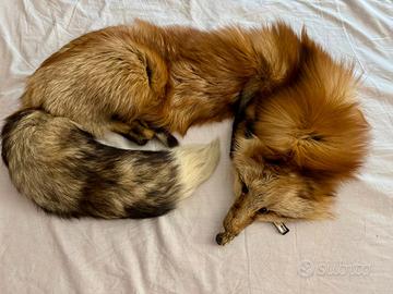 Scaldacollo in pelle di volpe 