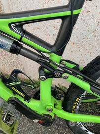 Mtb S-Works Carbonio