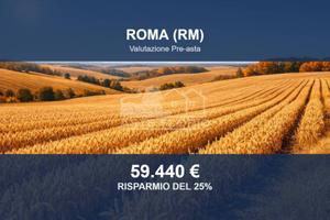 Immobile in asta di 30697 m² a Roma