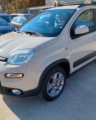 Fiat Panda 1.3 MJT S&S 4x4-ELD Antartica