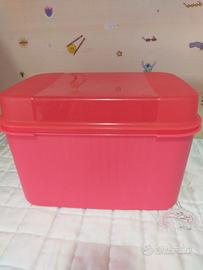Contenitore grande Tupperware 