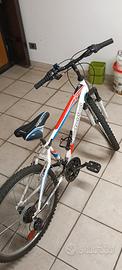 Bicicletta bambino