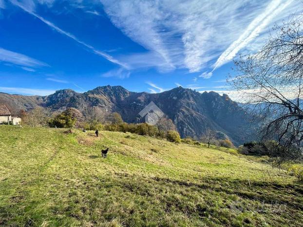 TERRENO A LAVENONE