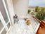 Immagine 24