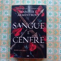 Sangue e Cenere vol 1.
