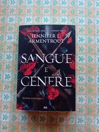 Sangue e Cenere vol 1.
